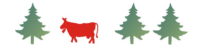 vaches sapins