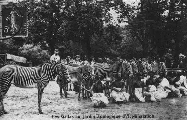 zoos-humains-1877-les-gallas
