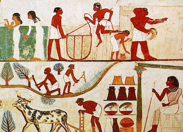 Egypt-farming-food-preparation